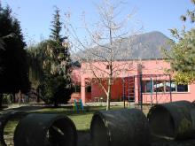 Scuola Rodari